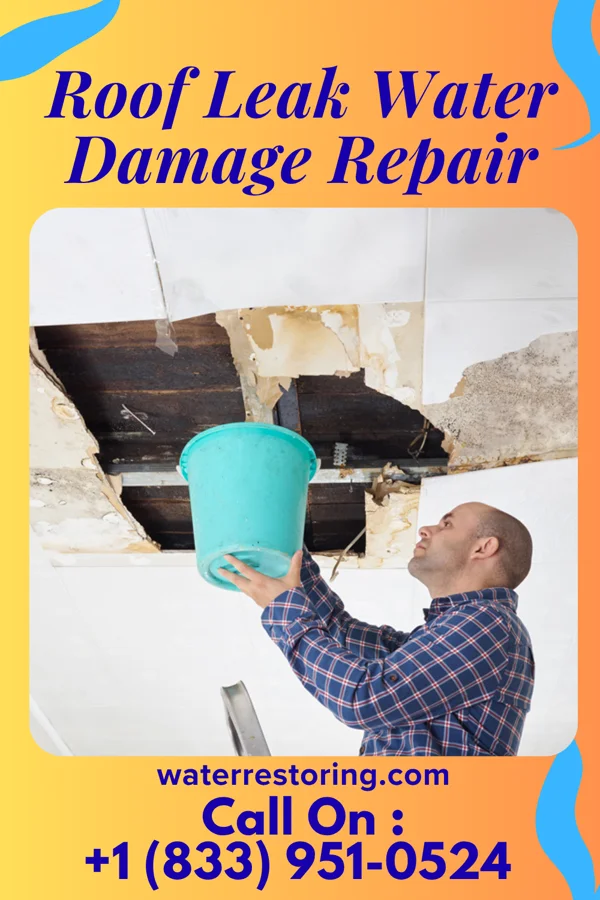 Roof Leak Water Damage Repair in Henrieville, UT